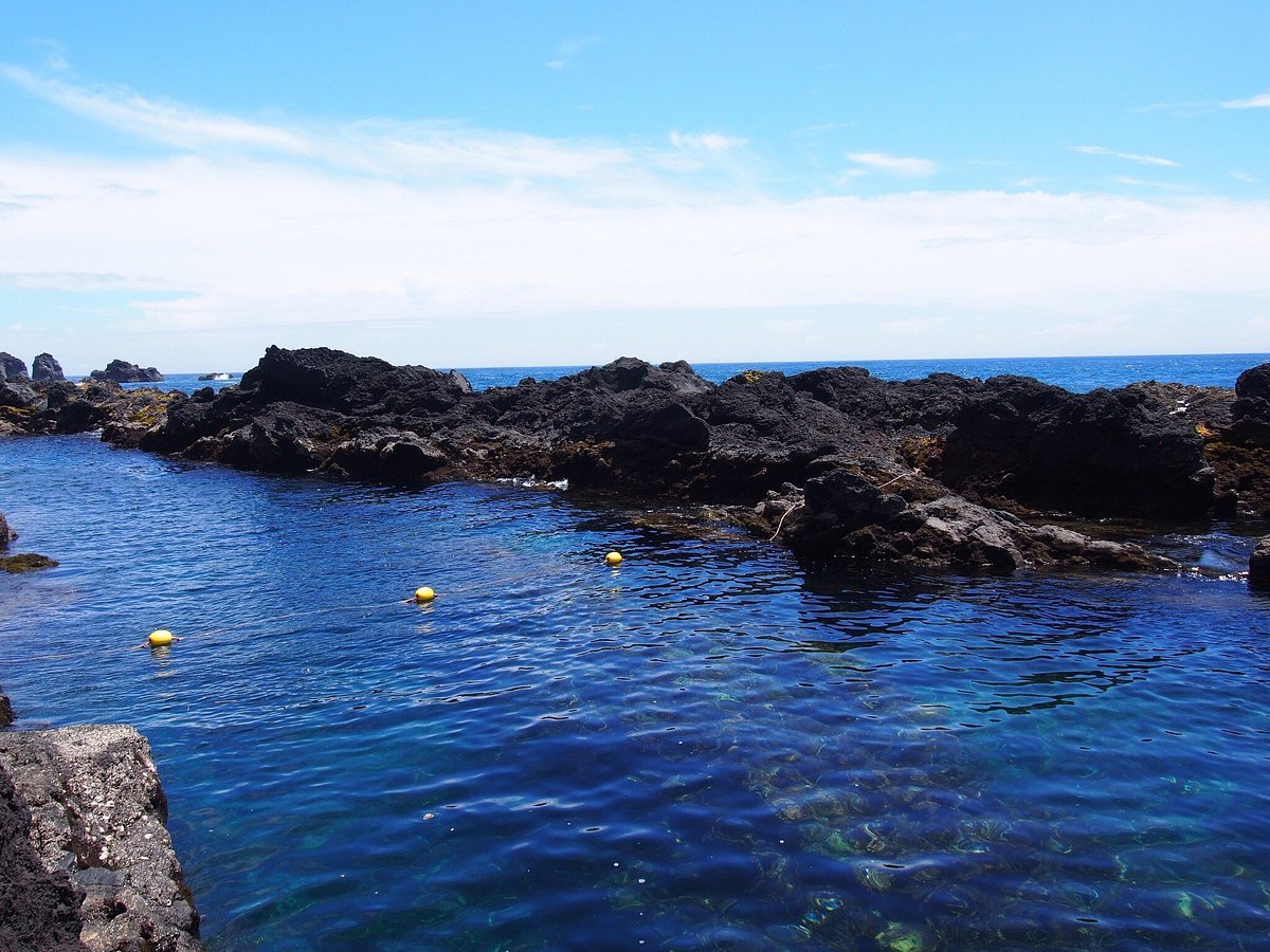 🌊 토시키 수영장(토시키 유에이죠) 이미지 1